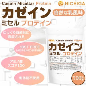 カゼイン ミセル プロテイン 500ｇ 【メール便専用品】【送料無料】 Casein Protein 乳化剤不使用・甘味料不使用・香料不使用・プレーン