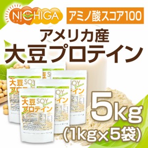 大豆プロテイン（アメリカ産） 1ｋｇ×5袋 強粘性タイプ(ペーストタイプ) IP管理大豆使用(分別生産流通管理) ソイプロテイン100% 甘味料