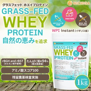 グラスフェッド ホエイプロテイン WPI instant （イギリス産） 1ｋｇ rBST不使用 高たんぱく 甘味料不使用・保存料無添加 NICHIGA(ニチガ