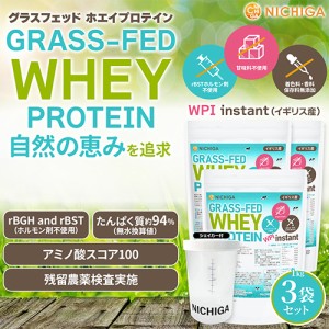 1kg*3 100% 強し WPC ホエイプロテイン