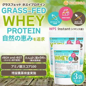 【送料無料！(北海道・九州・沖縄を除く)】 グラスフェッド ホエイプロテイン WPI instant （イギリス産） 1ｋｇ×3袋 rBST不使用 NICHIG