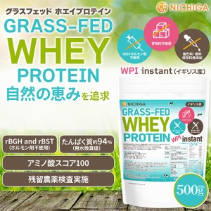 グラスフェッド ホエイプロテイン WPI instant （イギリス産） 500ｇ 【メール便専用品】【送料無料】 rBST不使用 高たんぱく [01] NICHI