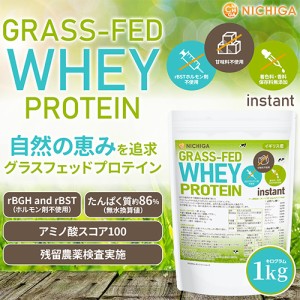 GRASS-FED WHEY PROTEIN instant（イギリス産） 1ｋｇ rBSTホルモン剤不使用 甘味料不使用 着色料・香料・保存料無添加 WPC 自然の恵み N