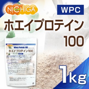 ホエイプロテイン100 1ｋｇ 無添加 プレーン味 NICHIGA(ニチガ) TK0