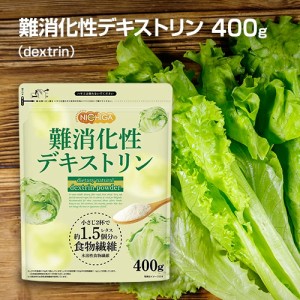 難消化性デキストリン（dextrin） 微顆粒品 400ｇ 【メール便専用品】【送料無料】 水溶性食物繊維 サラッと溶ける便利な微顆粒品 [01] N