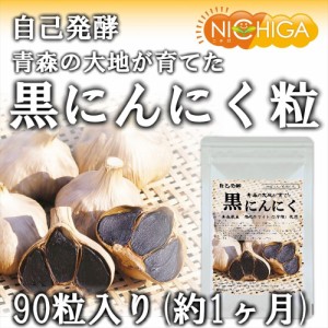 発酵黒にんにく粒　90粒（22.5ｇ） 【メール便専用品】【送料無料】 約１ヶ月分 福池ホワイト六片種生ニンニク使用 [04] NICHIGA(ニチガ)