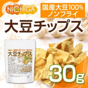 大豆チップス （SOY chips） 30ｇ 【メール便選択で送料無料】 ソイチップス 国産大豆100％使用 [03][06] NICHIGA(ニチガ)