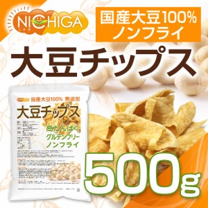 大豆チップス （SOY chips） 500ｇ ソイチップス 国産大豆100％使用 NICHIGA(ニチガ) TK1