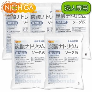 【法人専用】 炭酸ナトリウム（国内製造） 5ｋｇ×5袋 【送料無料！(北海道・九州・沖縄・離島を除く)・同梱不可】 食品添加物規格 ソー