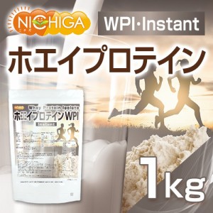 ホエイプロテインWPI-instant 1ｋｇ 牛成長ホルモン不使用 (人口甘味料・香料不使用) プレーン NICHIGA(ニチガ) TK0