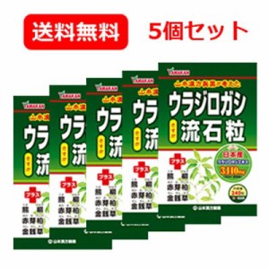 メール便 送料無料 5個セット 【山本漢方】ウラジロガシ流石粒（さすが粒）240粒×5個 うらじろがし 3個セット