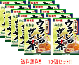 送料無料・10個セット ウラジロガシ茶　100%　5g×20包×10　山本漢方　4979654027656