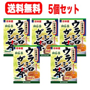 送料無料・5個セット ウラジロガシ茶　100%　5g×20包×5　山本漢方　4979654027656