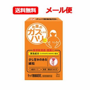 メール便　送料無料【大幸薬品】 ラッパ整腸薬BF24包【指定医薬部外品】