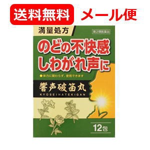 【第2類医薬品】 メール便 送料無料　響声破笛丸エキス顆粒G 12包きょうせいはてきがん キョウセイハテキガンエキスカリュウＧ　満量処方