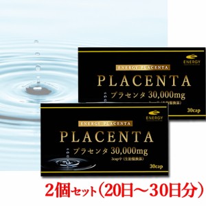 エナジー プラセンタ30000 30カプセル×2個 プラセンタ サプリメント 高濃度  濃縮 高濃縮 高濃度 高配合 プラセンタ EGF FGF 活性ペプチ