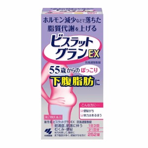 【第2類医薬品】小林製薬　ビスラット　グランEX　252錠