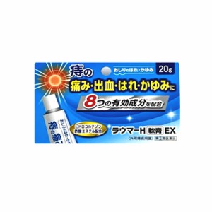 【第(2)類医薬品】新新薬品　ラウマー H軟膏 EX 20g