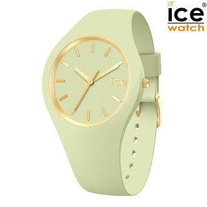 取寄品 正規品 ice watch アイスウォッチ 020542 ICE glam brushed アイスグラムブラッシュト ジェイド Small スモール レディース腕時計