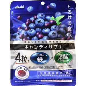 鉄分 サプリの通販 Au Pay マーケット