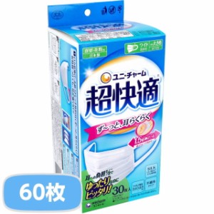 マスク 不織布 超快適マスク プリーツタイプ かぜ・花粉用 ホワイト やや大きめサイズ 2箱 60枚入 日本製