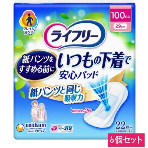 ライフリー 尿取りパッド いつもの下着で安心パット 100cc 女性用 22枚×6セット