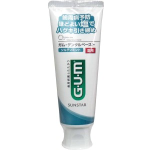 歯磨き粉 歯みがき粉 GUM ガム・デンタルペースト ソルティミント 薬用 スタンディング 150g