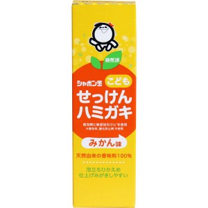 歯磨き粉 歯みがき粉 子供用 シャボン玉 こどもせっけんハミガキ みかん味 50g