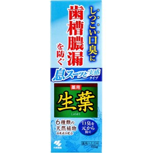 歯磨き粉 歯みがき粉 薬用 生葉 息スーッと実感タイプ 100g