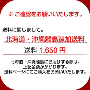 ※北海道・沖縄・離島送料ページ※1,650円