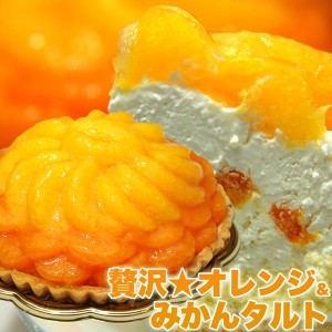 オレンジ＆みかんタルト 5号 冷凍 オレンジタルト みかん ホールケーキ フルーツケーキ ケーキ スイーツ