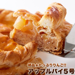 アップルパイ リンゴパイ ホール 5号 長野県産りんご使用 フルーツ ケーキ タルト 冷凍