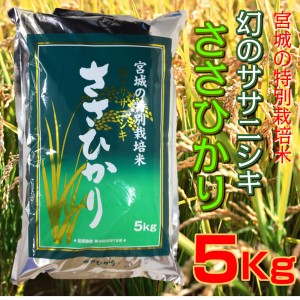 お米 白米 精米 ささひかり 5kg 令和5年 宮城県産 幻のササニシキ