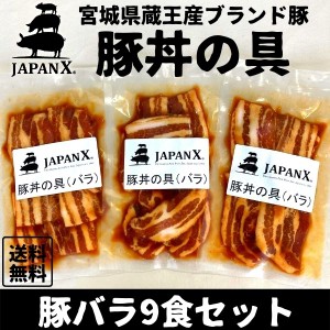 豚丼の具 国産豚 JAPAN X ジャパンエックス 仙臺豚丼 豚バラ肉 9食分 1袋160g 冷凍便