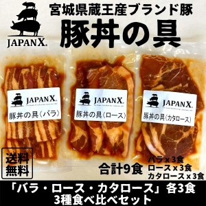 豚丼の具 国産豚 JAPAN X ジャパンエックス 仙臺豚丼 3種食べ比べ 9食分 各3袋 1袋160g 冷凍便