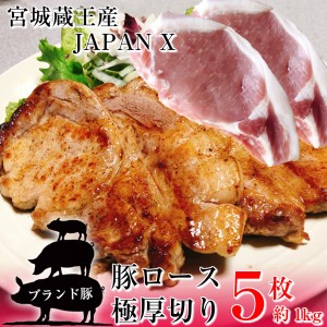 豚ロース とんかつ ステーキ 極厚切り 5枚 約1kg 豚肉 ポーク 国産 蔵王牧場 JAPAN X