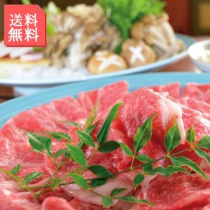 牛肉 飛騨牛 500g 牛肩ロース しゃぶしゃぶ すき焼き ブランド牛 飛騨 和牛 すきしゃぶ 鍋 ビーフ 冷凍 直送品