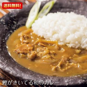 鰹がきいてる和のカレー 和のカレー 16食入り カレー スープ