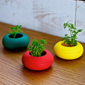 人参 インテリア キッチン雑貨 biite ビッテ おしゃれ 植木鉢 ニンジンポット 3色