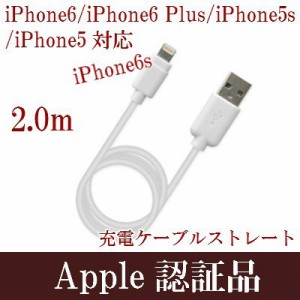 アップル 純正品 充電器の通販｜au PAY マーケット