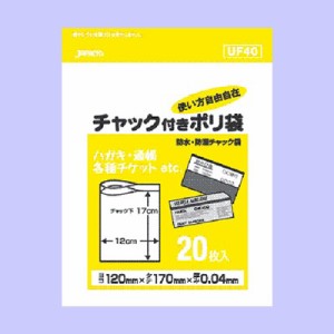 チャック付きポリ袋 ビニール袋 20枚入 透明（防水/防湿/耐熱/耐冷）