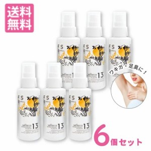 サラッセ デオドラント ピュルテ 100ml 6本セット【医薬部外品】(配送区分:B1)［大容量100ml わきが 腋臭 脇汗 抑える 男女兼用 多汗 足