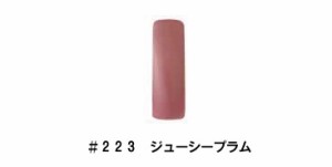 CHRISTRIO(クリストリオ)　 ジェラッカー(コンテナタイプ)　〔１／４ｏｚ〕 (１)  ＃２２３　ジューシープラム