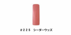 CHRISTRIO(クリストリオ)　 ジェラッカー(コンテナタイプ)　〔１／４ｏｚ〕 (１)  ＃２２５　シーダーウッズ