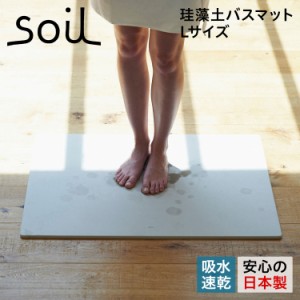 ソイル soil 珪藻土 速乾 ノンアスベスト 日本製 ラージ BATH MAT LARGE B316