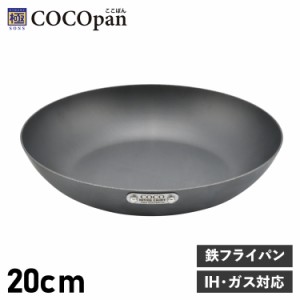 COCOpan ココパン フライパン 20cm ベーシック IH ガス対応 鉄 リバーライト 極SONS BASIC C101-003