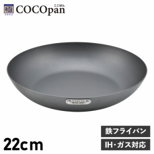 COCOpan ココパン フライパン 22cm ベーシック IH ガス対応 鉄 リバーライト 極SONS BASIC C101-004