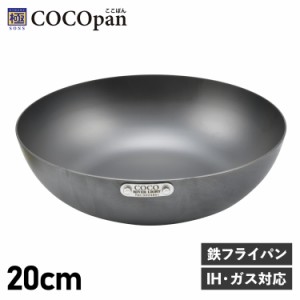 COCOpan ココパン フライパン 炒め 20cm 深型 IH ガス対応 鉄 リバーライト 極SONS C102-001