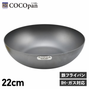 COCOpan ココパン フライパン 炒め 22cm 深型 IH ガス対応 鉄 リバーライト 極SONS C102-002