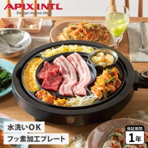 アピックスインターナショナル APIX INTL グリルプレート 焼肉プレート グリルマイスター ブラック 黒 AGP-350